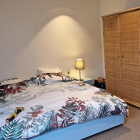 Petite Maison Dans Quartier Populaire Et Historique Tournai